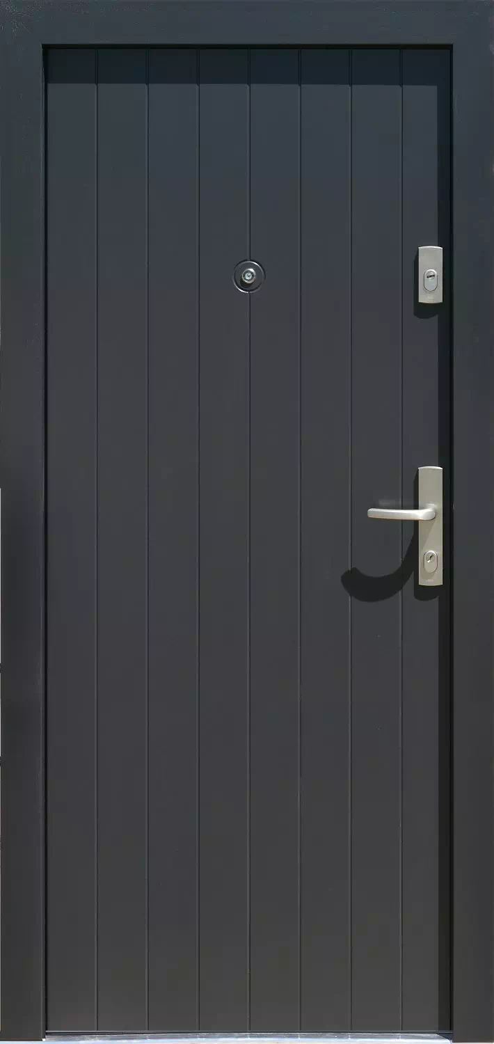 Drzwi zewnętrzne nowoczesne 689,7W grafitowe