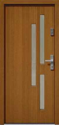 Drzwi zewnętrzne nowoczesne do domu 484,2 w kolorze ciemny dąb.
