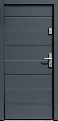 Drzwi zewnętrzne nowoczesne do domu wzór 490,5 w kolorze antracytowe.
