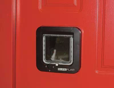 Klapka dla kota zamontowana w wejściowych drzwiach zewnętrznych produkcji AFB